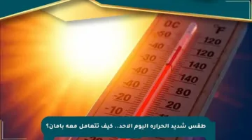 طقس شديد الحرارة اليوم الأحد.. كيف تتعامل معه بأمان؟
